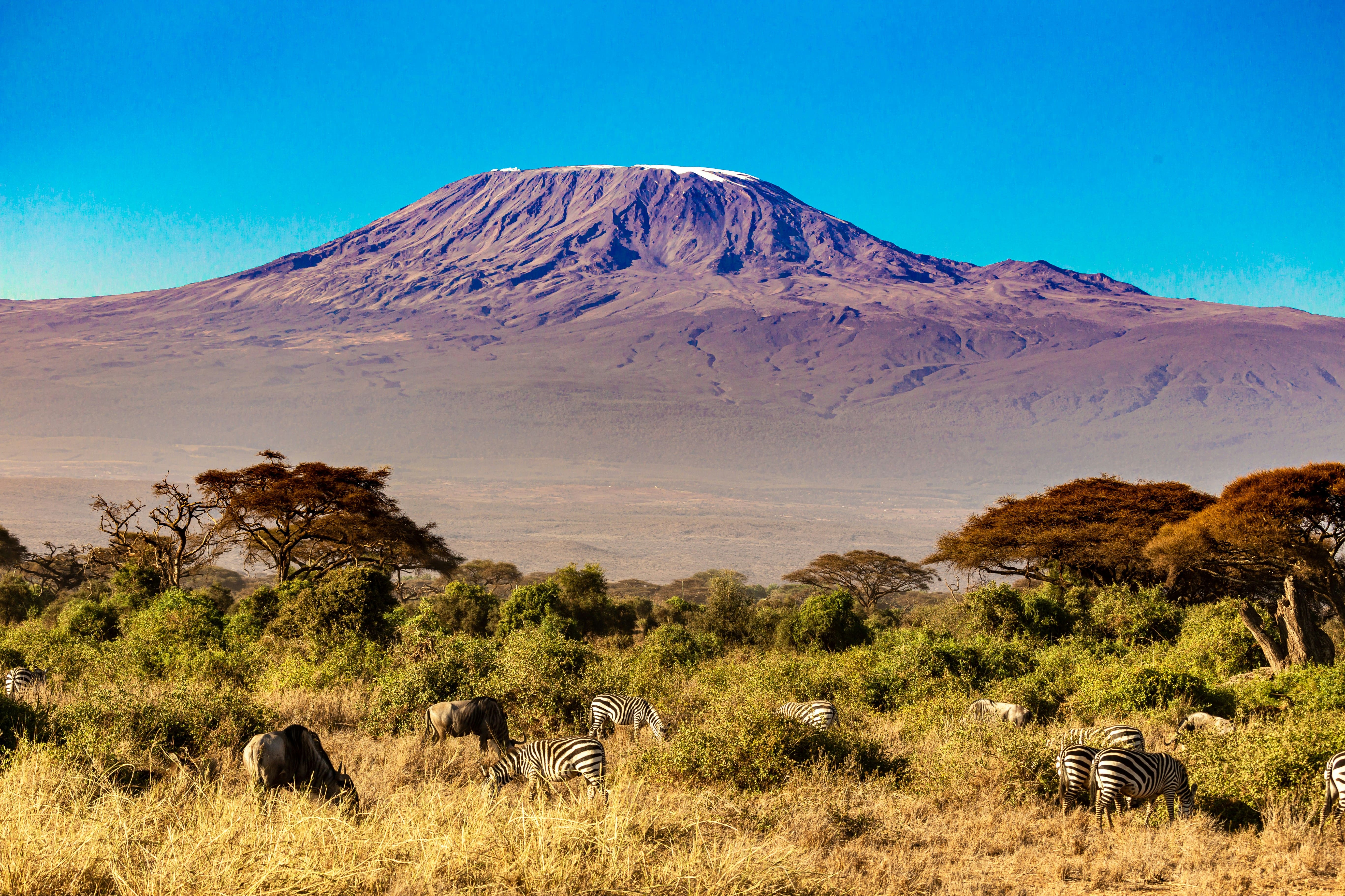 Waterfalls, forest and foothills of Mount Kilimanjaro
